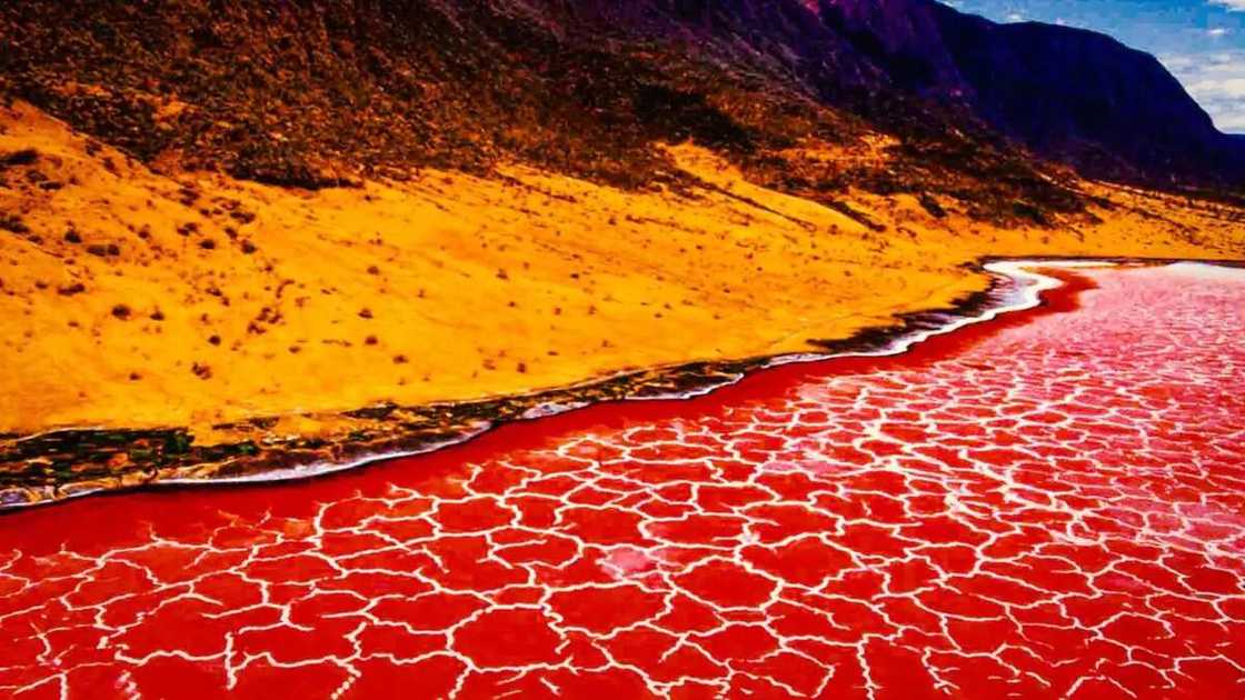 Lake Natron, beautiful places in Africa