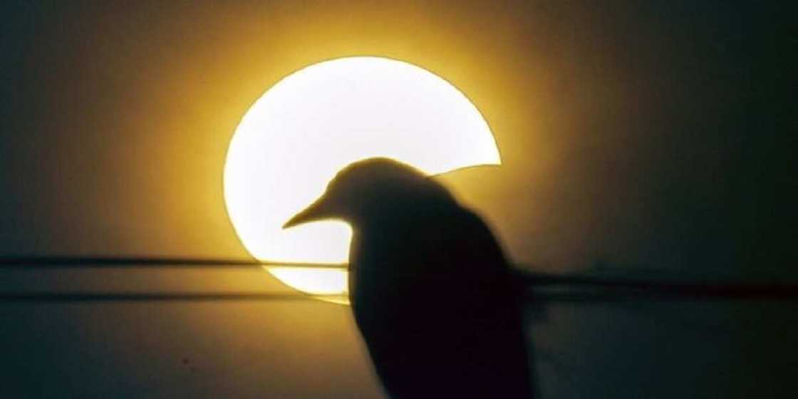 Hotunan yadda aka yi Khusufin rana a fadin duniya Hotunan yadda aka yi Khusufin rana a fadin duniya