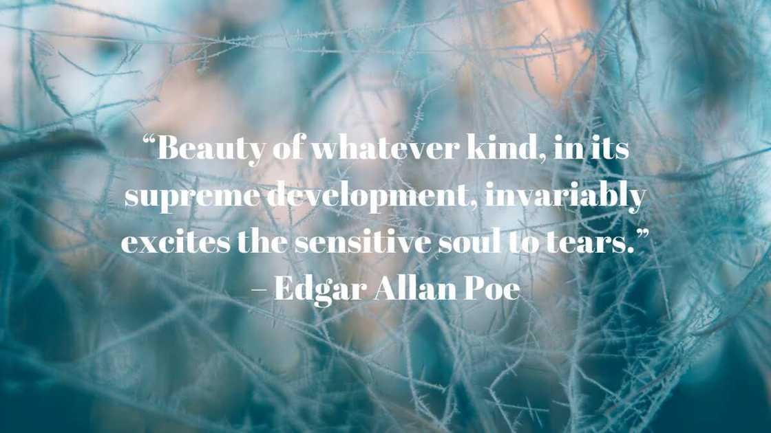 Edgar Allan Poe The Raven quotes Edgar Allan Poe The Raven quotes
