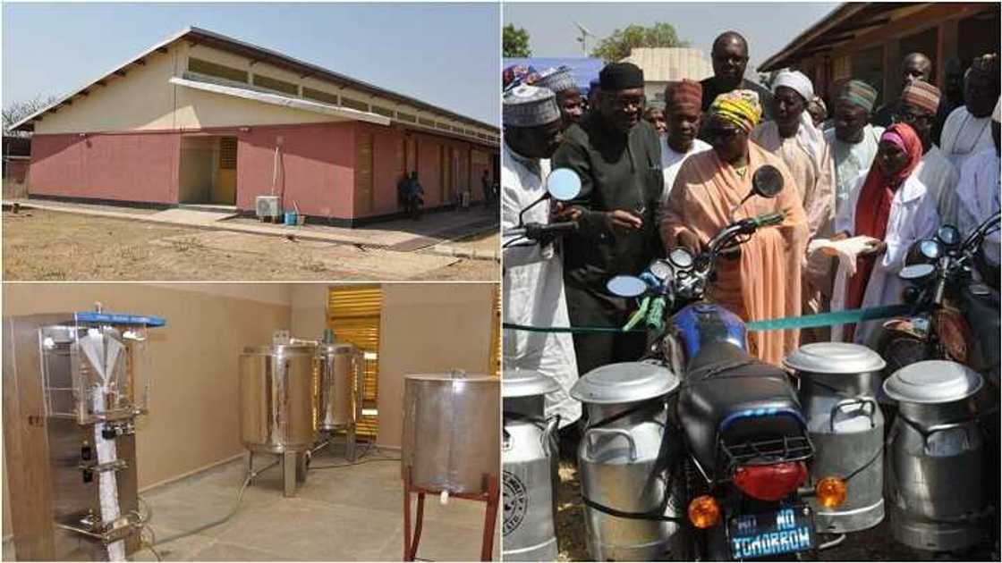 Gwamnatin jahar Kaduna ta gina wata katafaren kamfanin sarrafa nono da madara Gwamnatin jahar Kaduna ta gina wata katafaren kamfanin sarrafa nono da madara