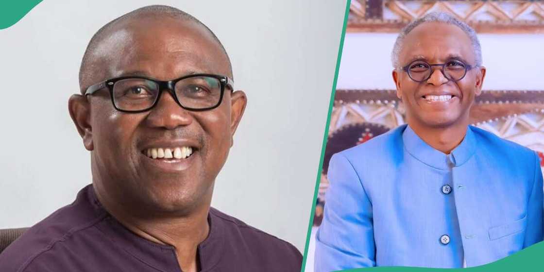 Daniel Bwala claims Peter Obi will dump Labour Party for SDP Daniel Bwala claims Peter Obi will dump Labour Party for SDP