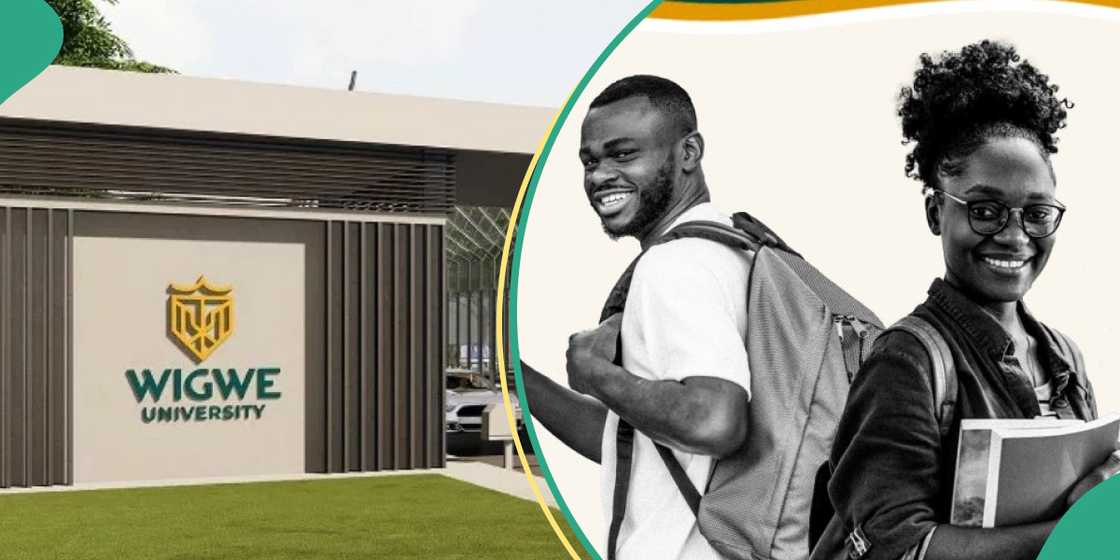 Wigwe University announces scholarship opportunities for Nigerian students Wigwe University announces scholarship opportunities for Nigerian students