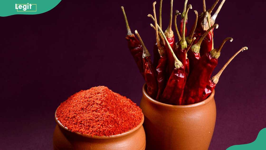 Chilli peppers in a pot Chilli peppers in a pot