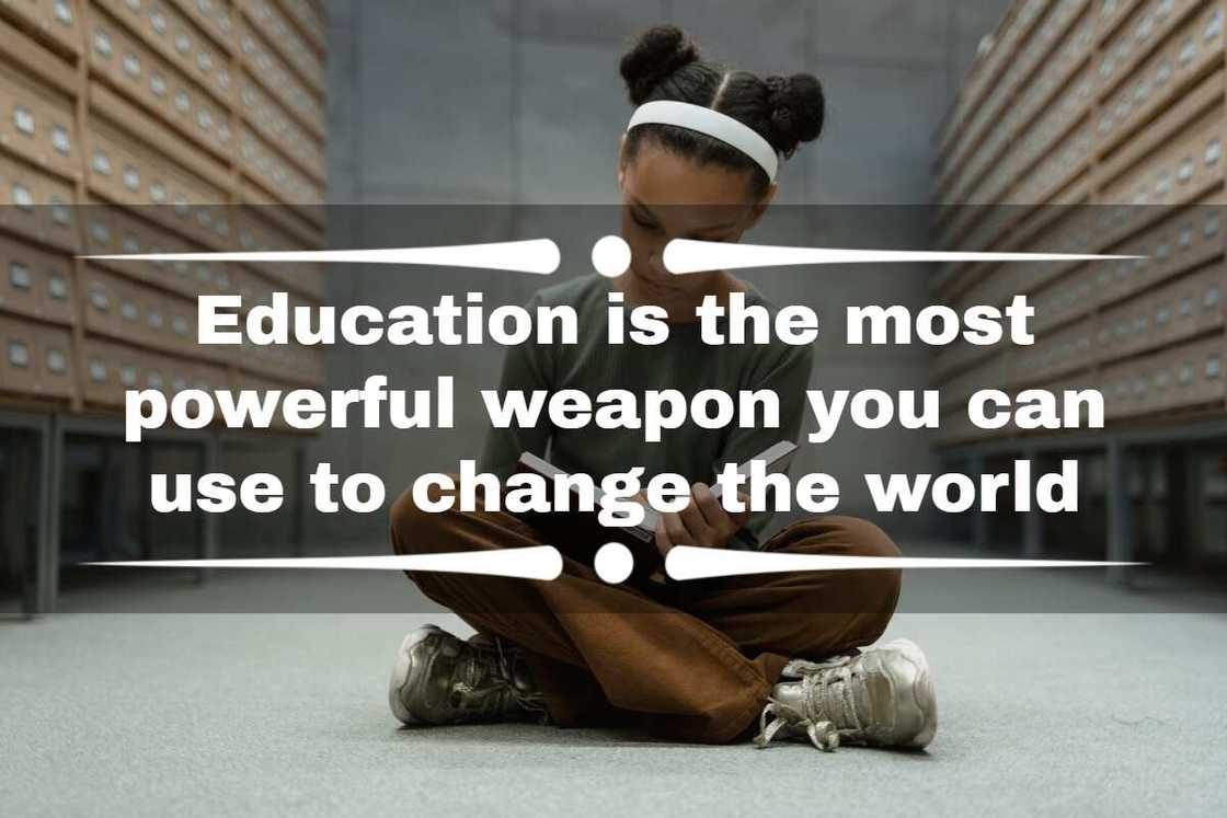 Quotes about education and success