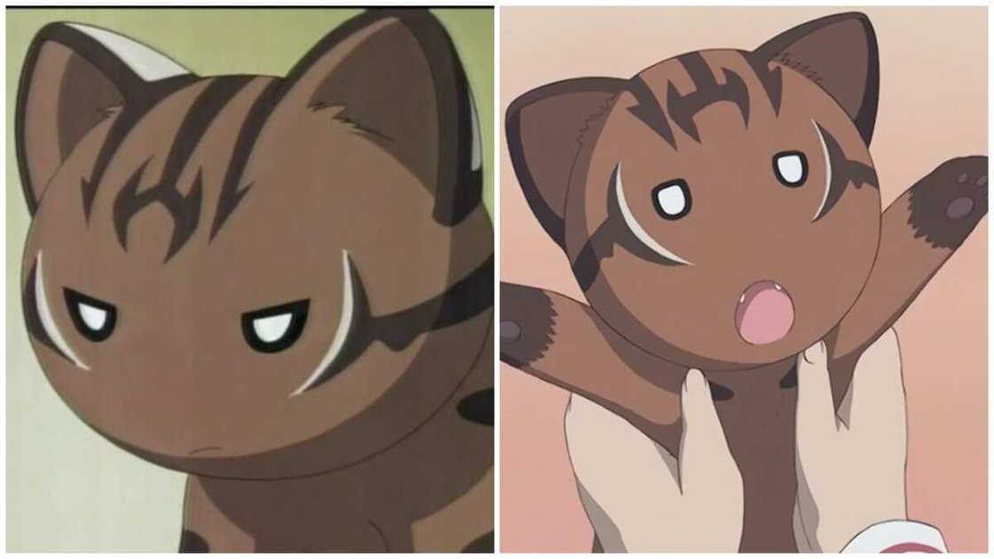 famous anime cats