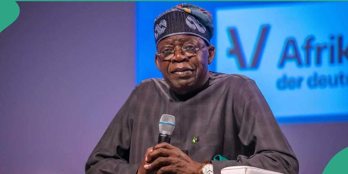 Northern Elders Forum, Kaduna bombing, banditry, Tinubu