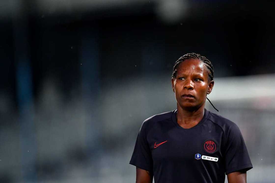 Formiga Formiga