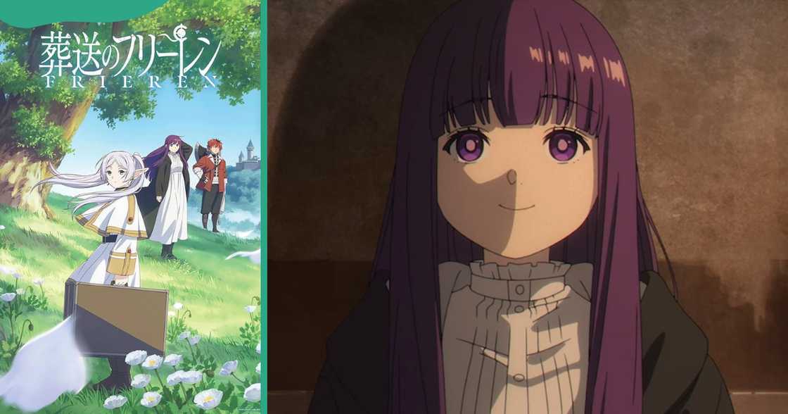 A poster of the Freinen series (L) and an animated illustration of Fern from Frieren (R). A poster of the Freinen series (L) and an animated illustration of Fern from Frieren (R).