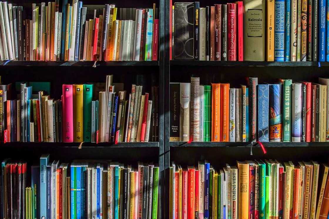 quotes about reading quotes about reading