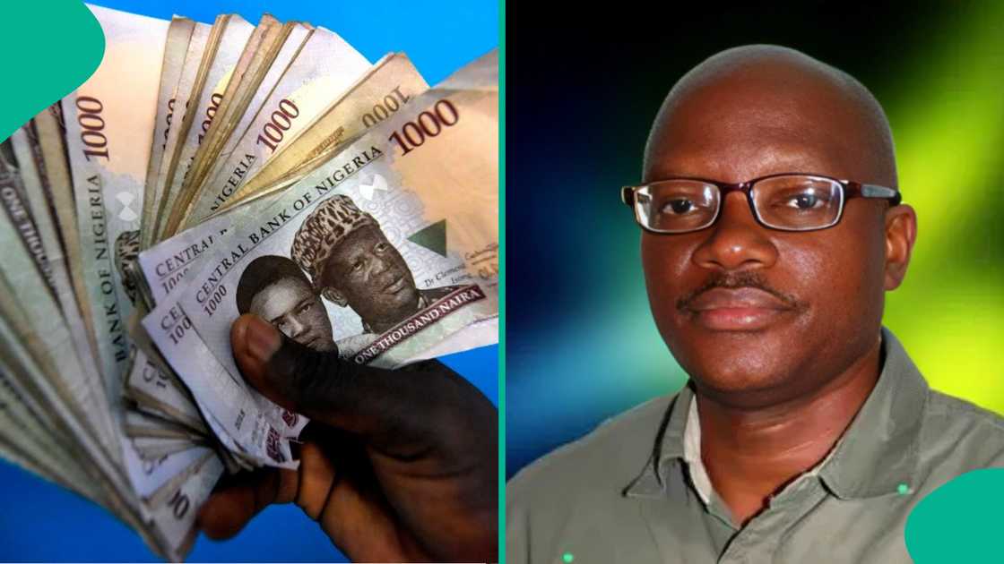 University professors earn less in Nigeria compared to South African counterparts.