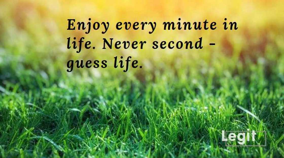 michael jordan inspirational quotes michael jordan inspirational quotes