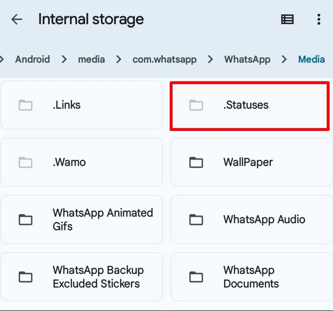 Google File Manager