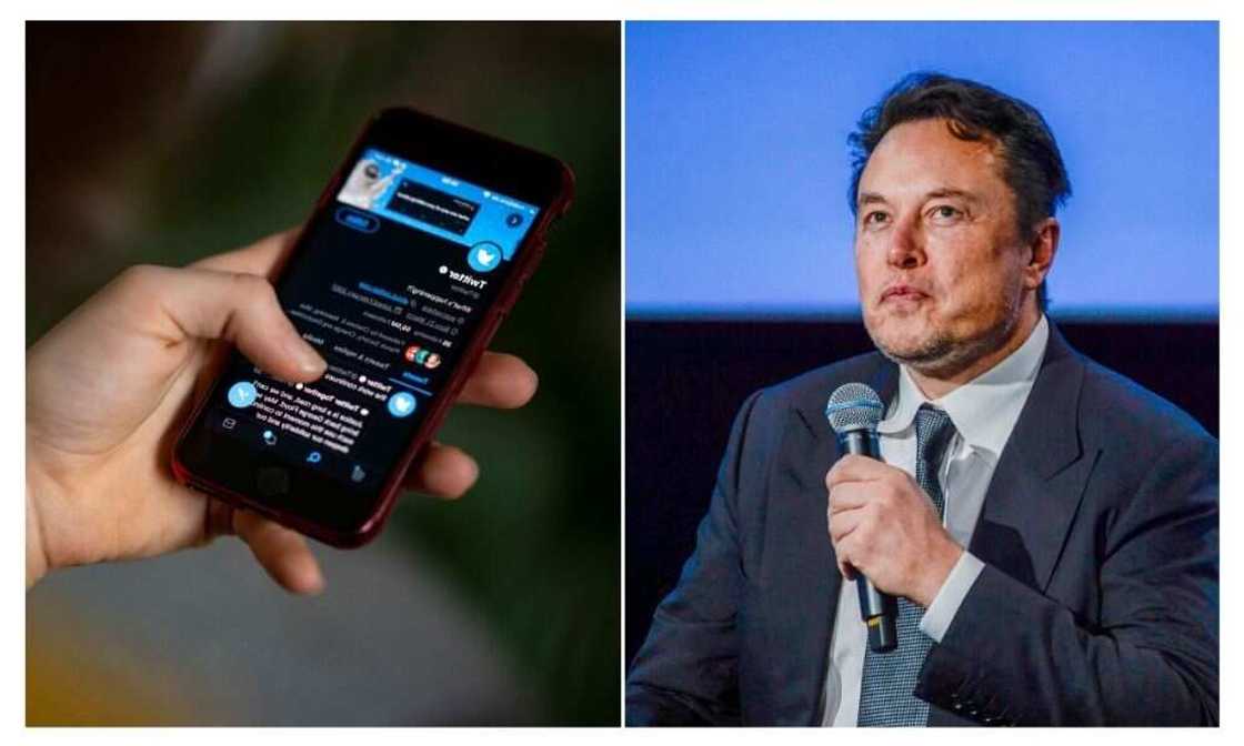Twitter, verification badge, Elon Musk Twitter, verification badge, Elon Musk