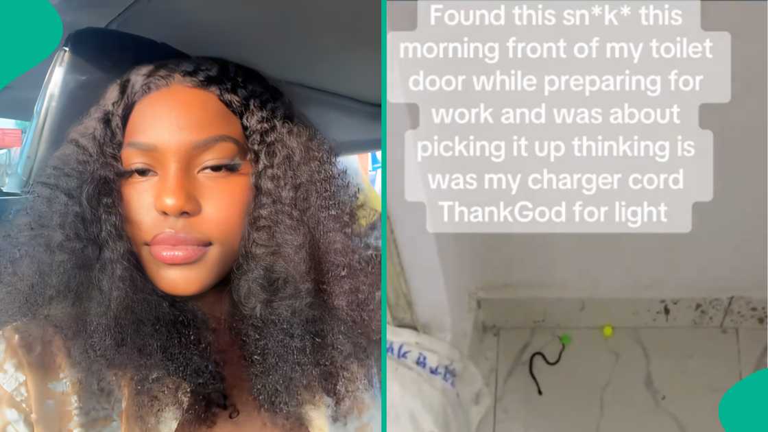 Lady shares video of snake she saw in front of her toilet door thinking it's her charger cord