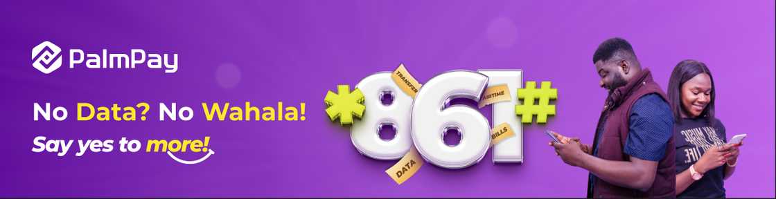 Simplified Banking Experience with PalmPay USSD *861# Code Simplified Banking Experience with PalmPay USSD *861# Code