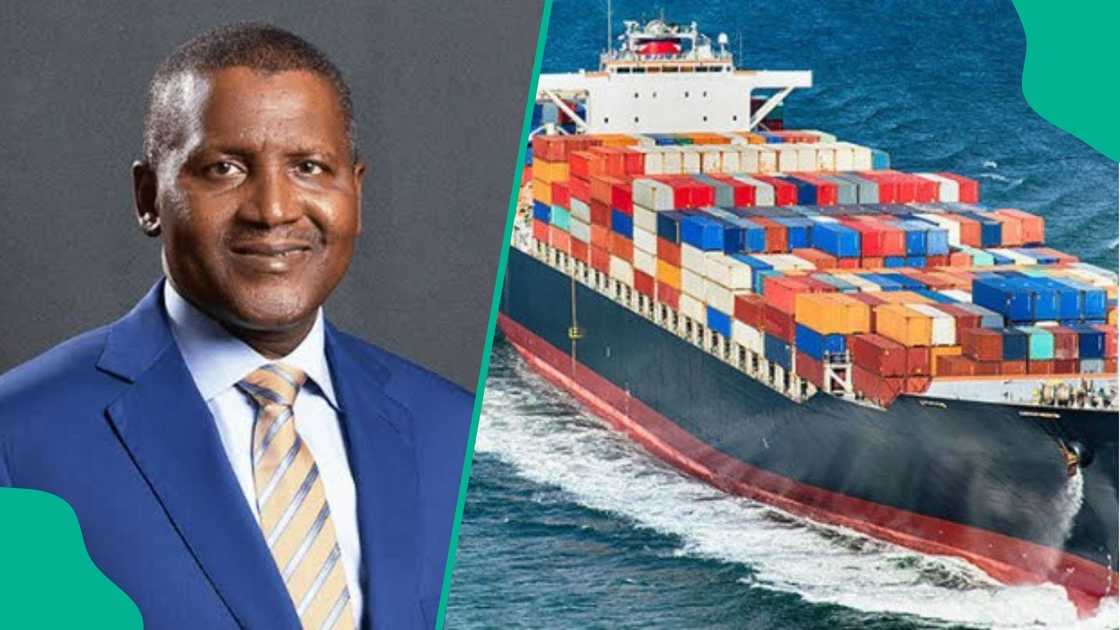 Dangote Says Fisheries Investment Could Transform Nigeria's Economy, Create 500,000 Jobs Dangote Says Fisheries Investment Could Transform Nigeria's Economy, Create 500,000 Jobs