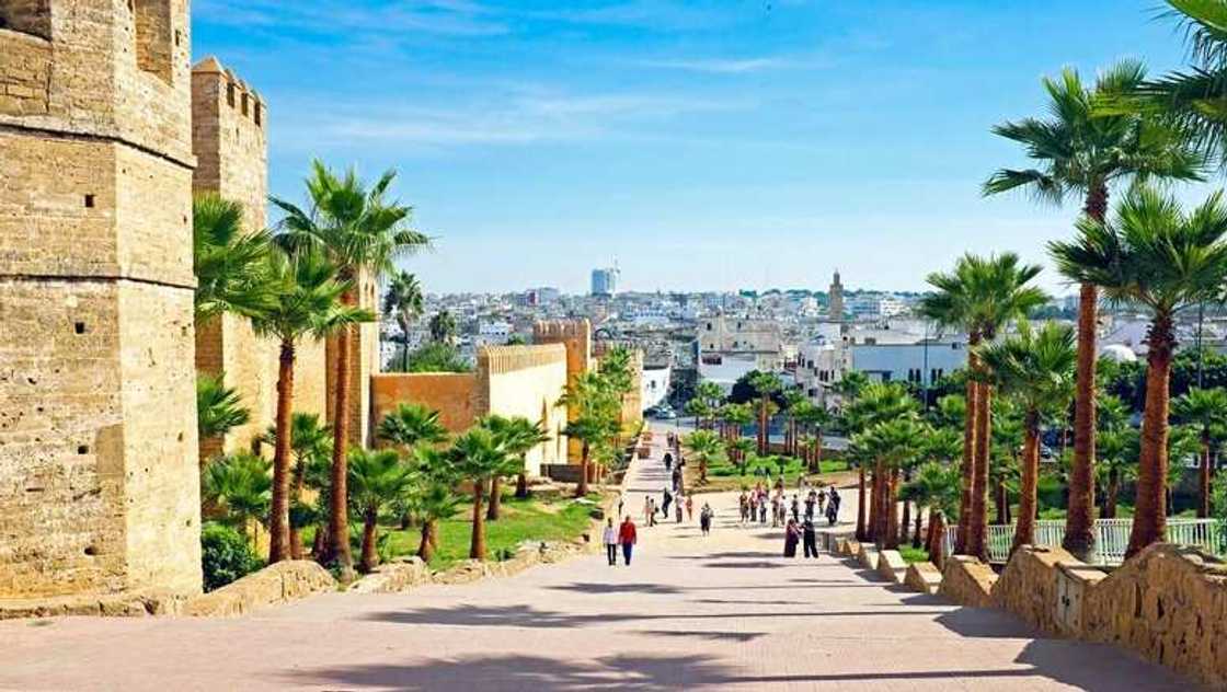 Healthiest Places to Visit in Africa in 2022 Healthiest Places to Visit in Africa in 2022