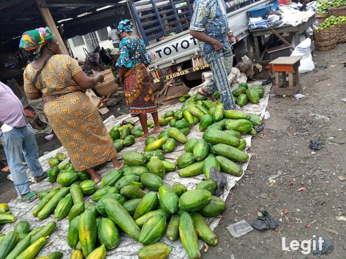 Pawpaw on display at wholesale price in Jakande market, Ketu, Lagos. Photo credit: Esther Odili