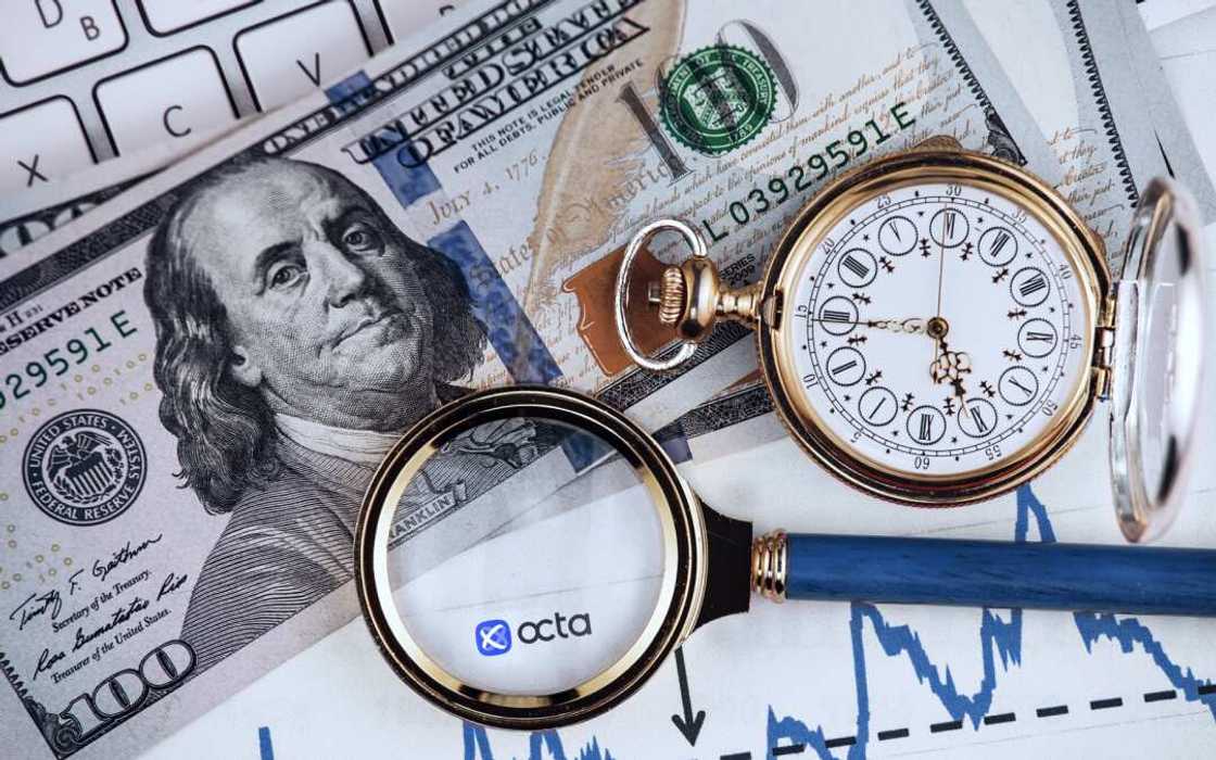 Currency trading made clear: An Octa guide to navigating the Forex market