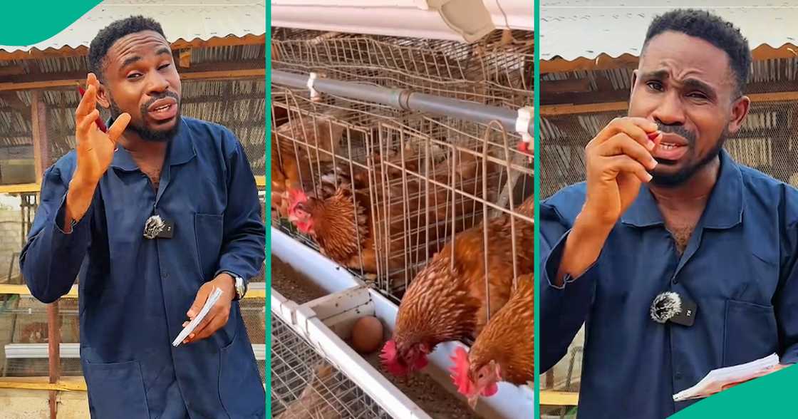 Farming in Nigeria/Farming knowledge Farming in Nigeria/Farming knowledge