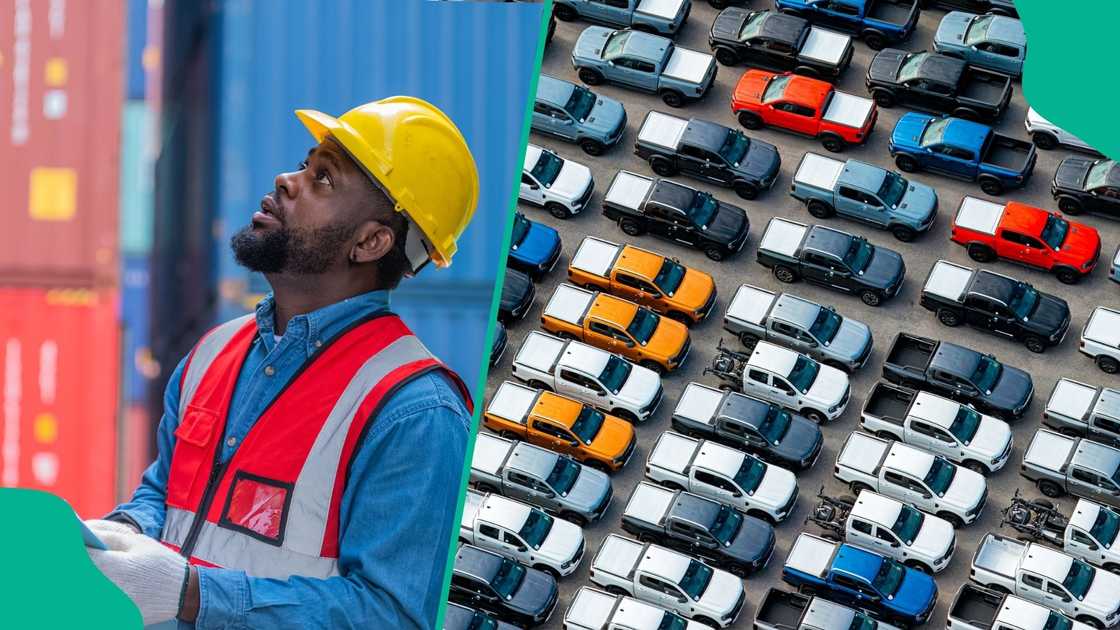 Importers have raised concerns about renewed theft and vandalism by wharf rats at Tin Can Island Port in Lagos, especially at the Roll-On-Roll-Off (RORO) terminals.