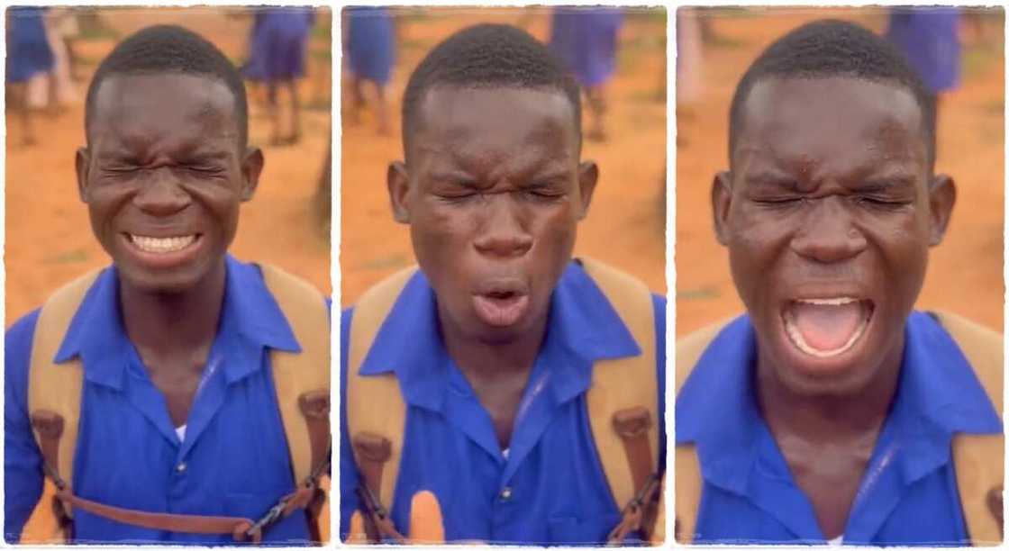 Young boy praying. Young boy praying.