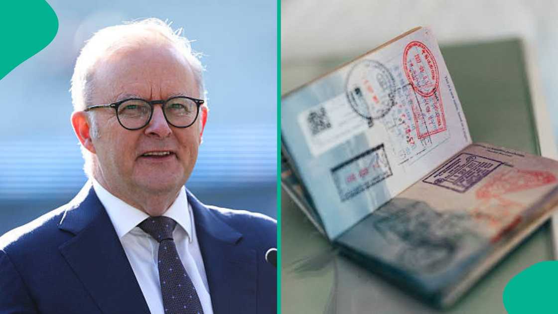 Australia allocates up to 280 visas for permanent residency visa treaty pathway Australia allocates up to 280 visas for permanent residency visa treaty pathway