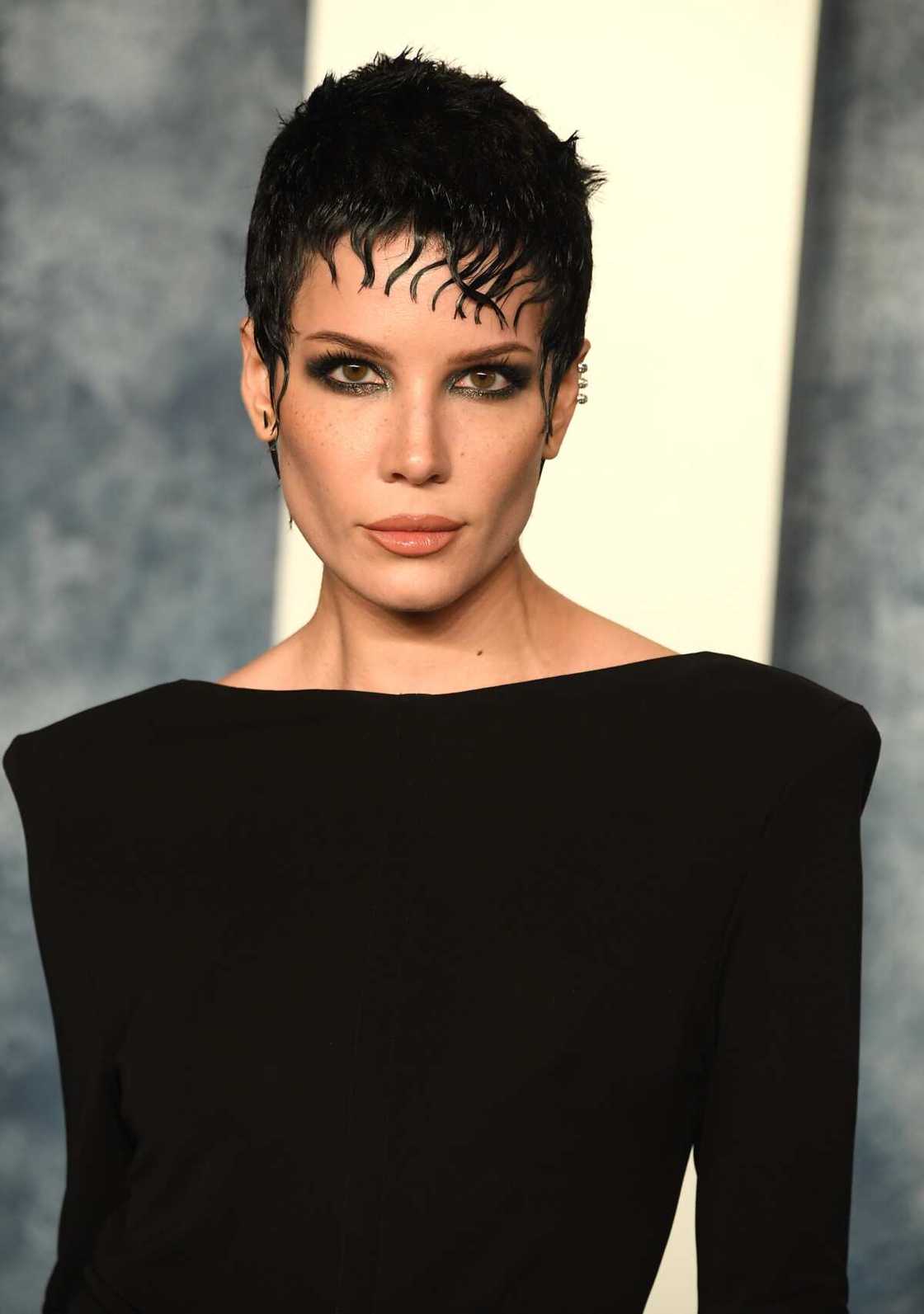 lesbian celebrity icons lesbian celebrity icons