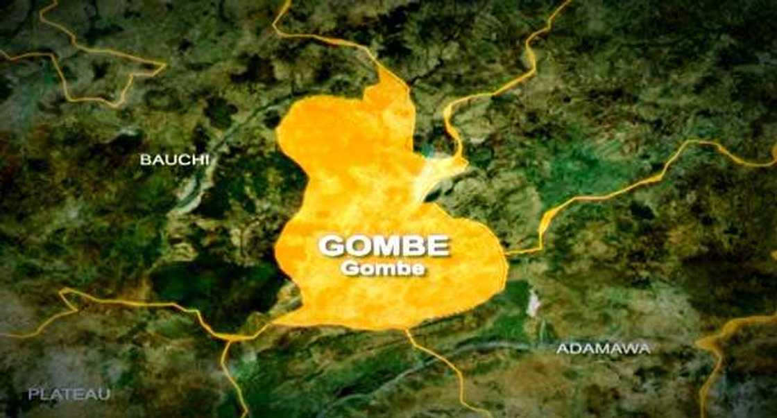 Gombe Gombe