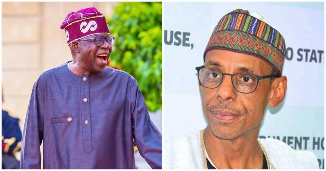 Bola Tinubu/latest about Bola Tinubu