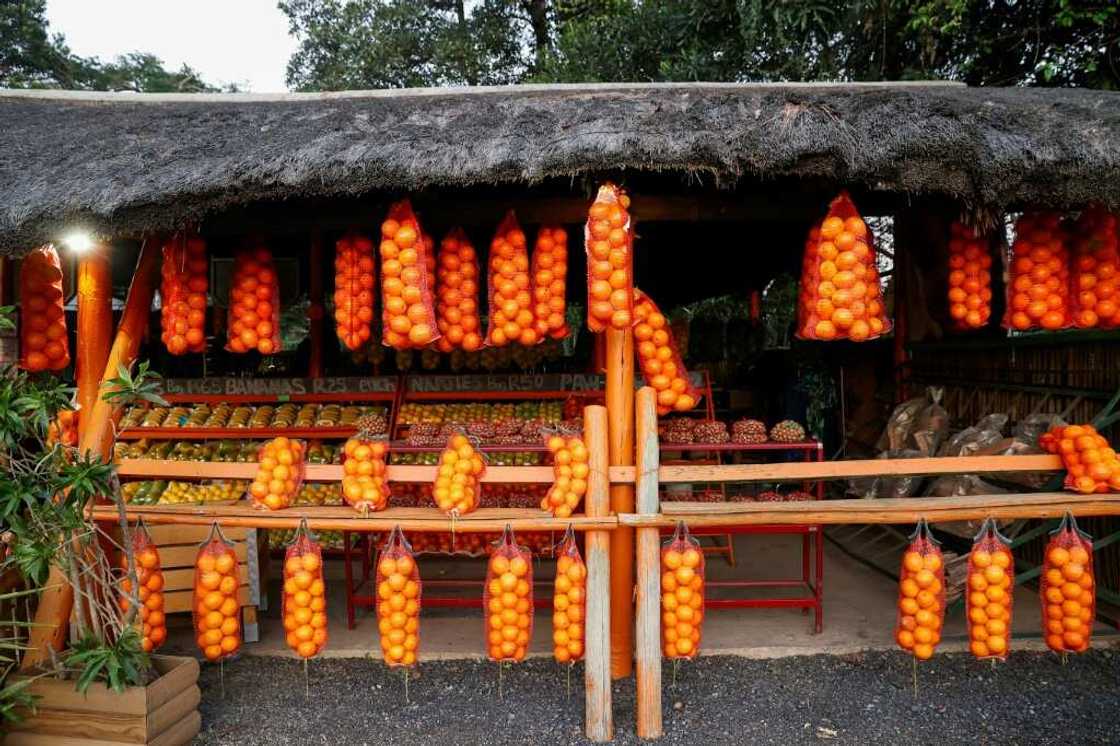 The Southern Africa Citrus Growers' Association worries it could lose $55.5 million in export revenue The Southern Africa Citrus Growers' Association worries it could lose $55.5 million in export revenue