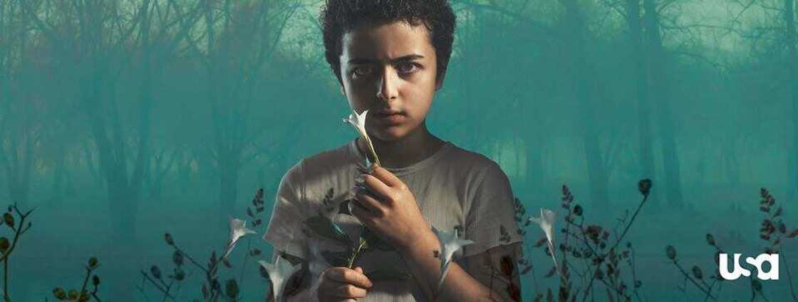 the sinner episodes the sinner episodes