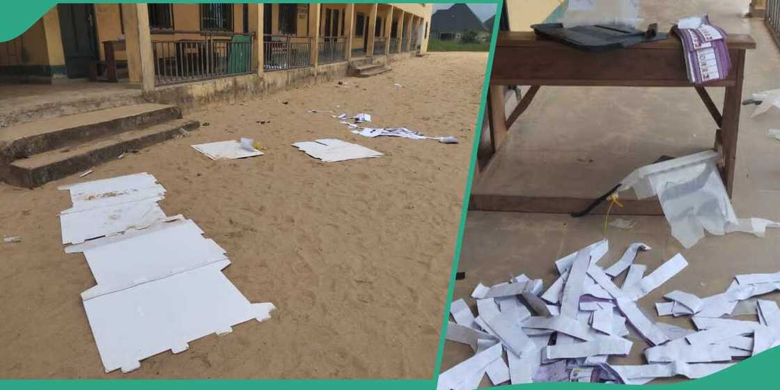 INEC, Bayelsa state INEC, Bayelsa state