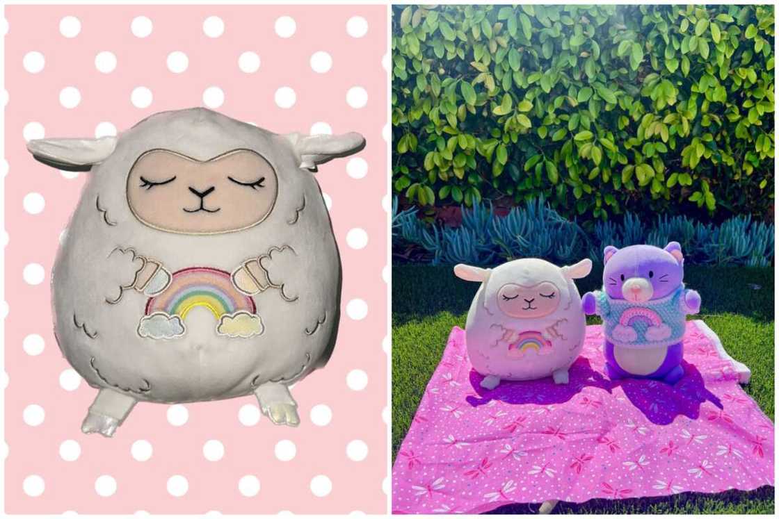 Rare squishmallows