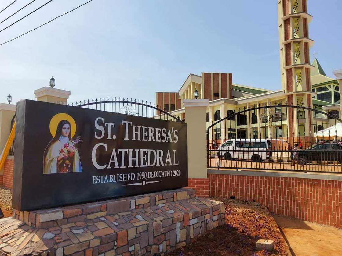 Gov Ugwuanyi, 38 Bishops, others, grace dedication of Nsukka Catholic Cathedral