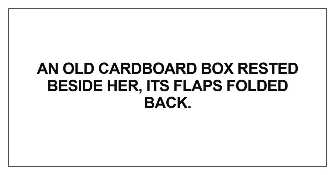 An old cardboard box rested beside her, its flaps folded back