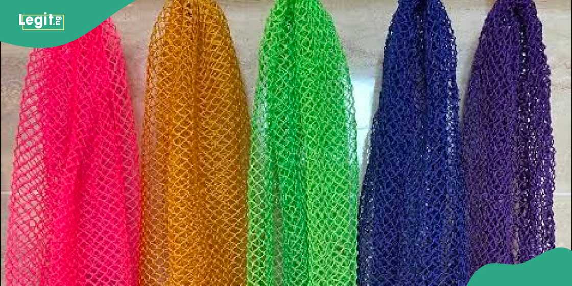 African bathing sponge. African bathing sponge.