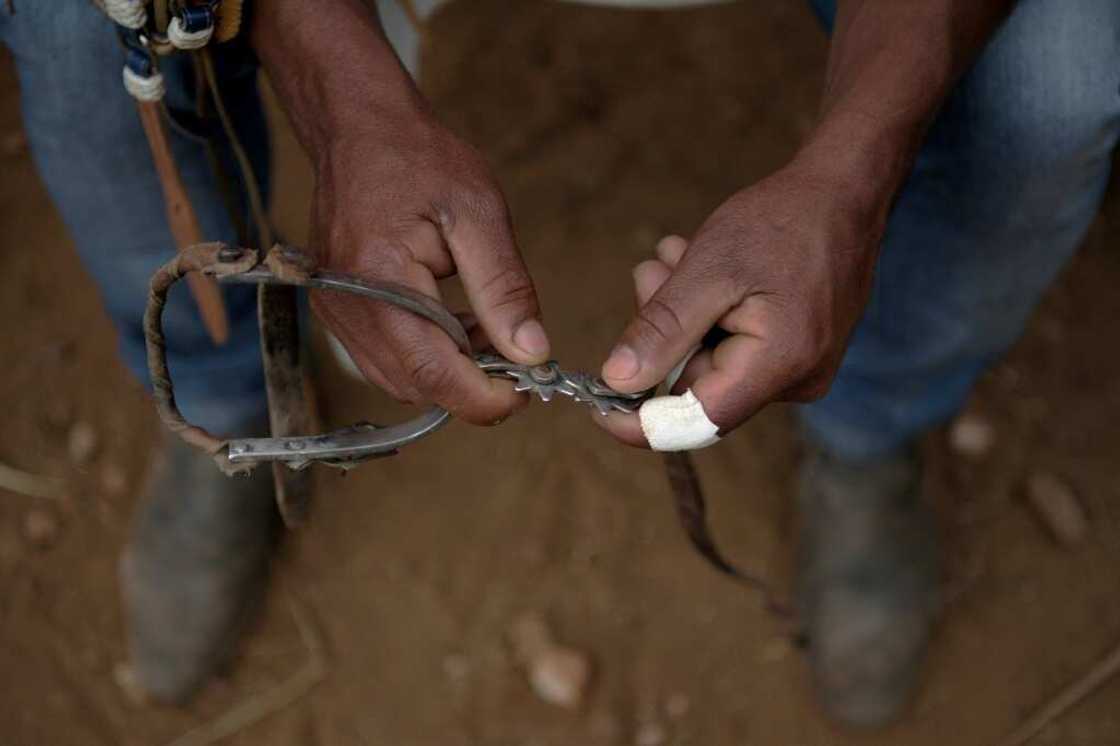 The northeast, Brazil's poorest and second-most populous region, leans heavily toward leftist presidential front-runner Luiz Inacio Lula da Silva, who hails from the region The northeast, Brazil's poorest and second-most populous region, leans heavily toward leftist presidential front-runner Luiz Inacio Lula da Silva, who hails from the region