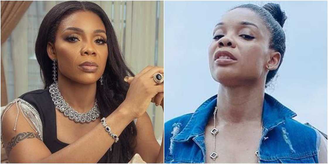 Dancer Kaffy Dancer Kaffy