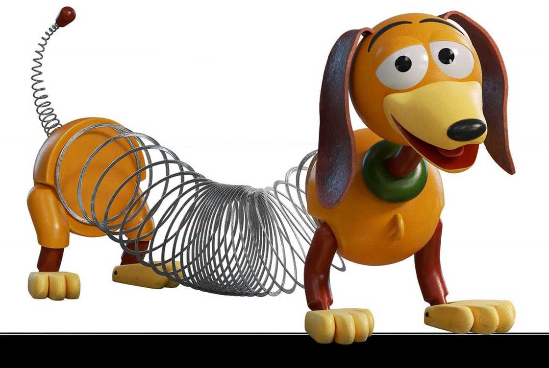 An illustration of Slinky Dog An illustration of Slinky Dog