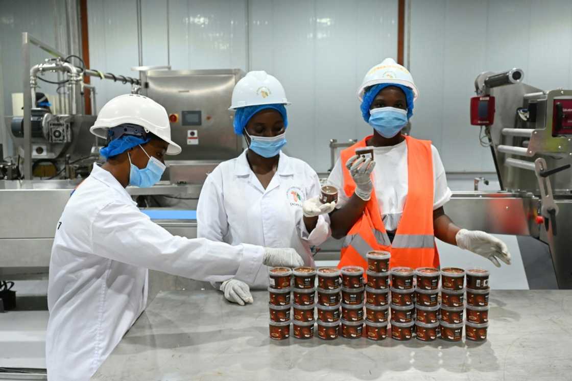The Ivorian brothers dream of transforming the cocoa industry The Ivorian brothers dream of transforming the cocoa industry