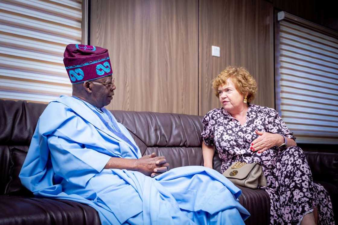 Bola Tinubu, 2023 election, APC, Kashim Shettima Bola Tinubu, 2023 election, APC, Kashim Shettima