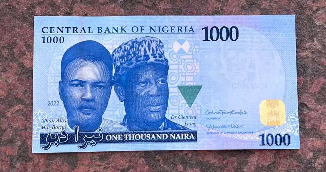 Nigerian currency notes Nigerian currency notes