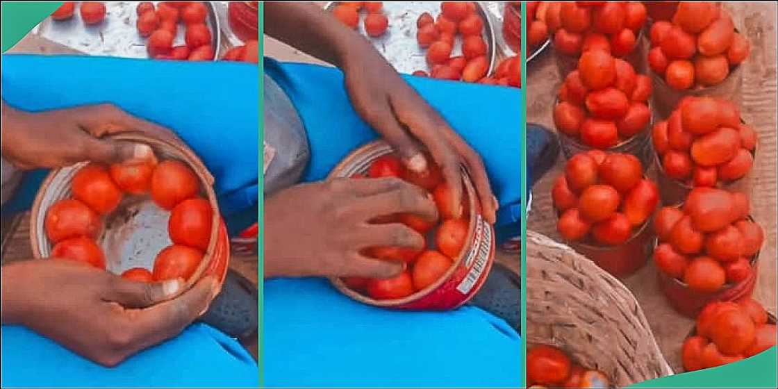 Nigerian man exposes tomato seller