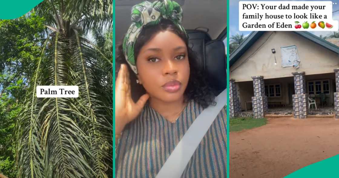 Lady displays her family house which her dad built like "Garden of Eden," video excites Nigerians Lady displays her family house which her dad built like "Garden of Eden," video excites Nigerians
