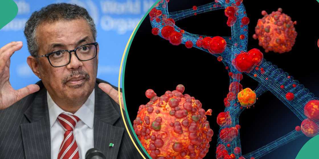 Hukumar lafiya ta duniya ta sanar da bullar sabuwar kwayar cutar kyandar biri a kasashen Afrika Hukumar lafiya ta duniya ta sanar da bullar sabuwar kwayar cutar kyandar biri a kasashen Afrika