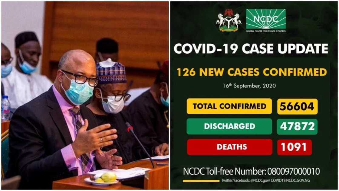NCDC announces 126 new Covid-19 cases, total now 56,604 NCDC announces 126 new Covid-19 cases, total now 56,604