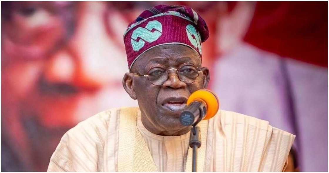 Tinubu Tinubu