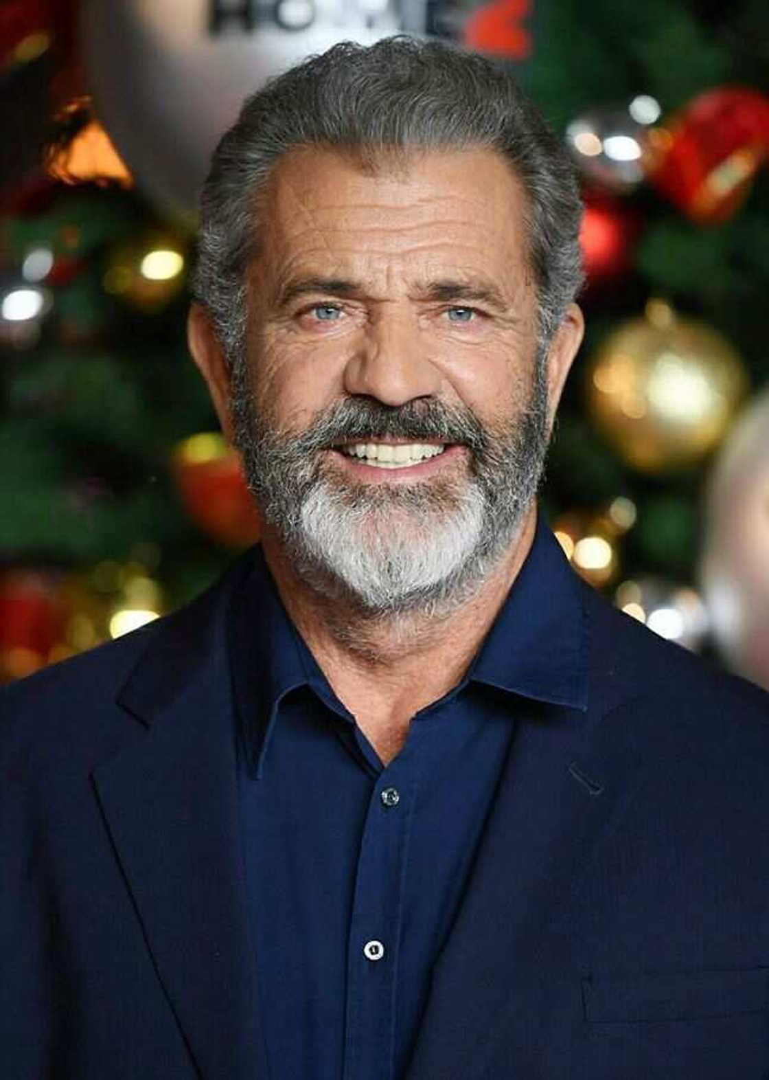 Mel Gibson net worth Mel Gibson net worth
