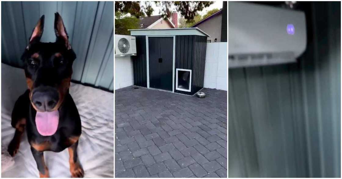 Dog's house, air conditioner Dog's house, air conditioner